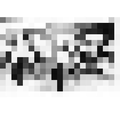 Фото групповое