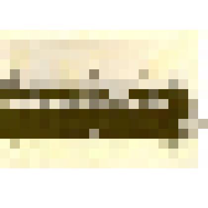 Фотография: руководящие работники Каменского городского отдела переписи населения. Крайний справа Резвых Яков Феофилактович