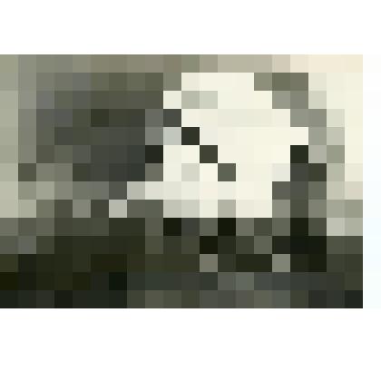 Фотография. Перрон станции метро «Сокол»