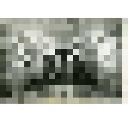 Фотография. Эскалаторный вестибюль станции метро «Калужская»