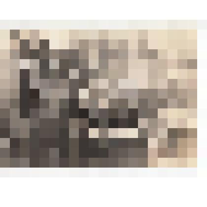 Ф/чб. Продукция машиностроительного завода "Коммунист" (Возрождение): двигатель № 11 . АССРНП. Марксштадт. 1930-е