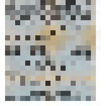 Афиша вечера памяти А.П. Чехова, подготовленного Минус. Литературно-Музыкально-Драматическим Обществом (миниатюры А.П. Чехова): «Лебединая песня», «Юбилей», «Свадьба», состоялся 22 апреля 1914 г