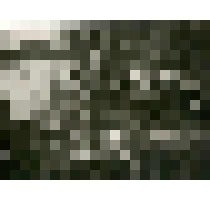 Фотография. Холбо (тунгусский сруб-вешала) для осенней рыбы