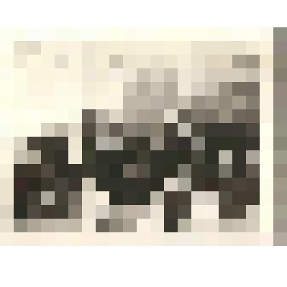 Фотография. Встреча учащихся Верхоянской средней школы с участниками велопробега Батагай-Якутск-Батагай 1983 г