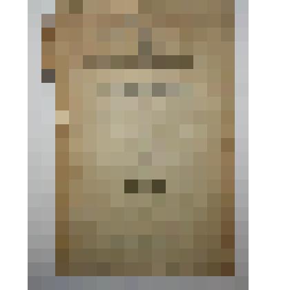 Книга. Ежегодник сведений о болезнях и повреждениях культурных и дикорастущих полезных растений. Типография С.Л. Кинда