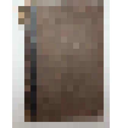 Книга. Русский лес (том 2). Типография А.Ф. Маркса