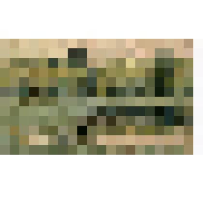 Этюд. Горелое болото