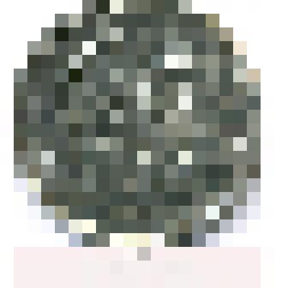 Монета. Один рубль