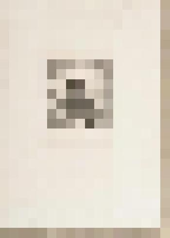 Портрет А.А. Половцева. Контрэпрёв