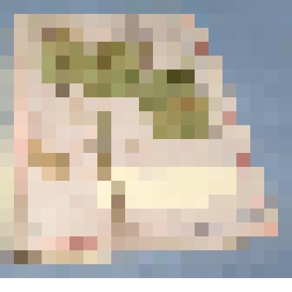 Ботаническая коллекция. Подорожник большой, на гербарном листе, от Согры на восток, пойма реки Абакан