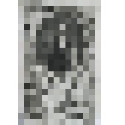 Портрет Чарльза Флитвуда, генерал - лейтенанта, [Главнокомандующего армии Кромвеля], Лорда - депутата от Ирландии в парламенте