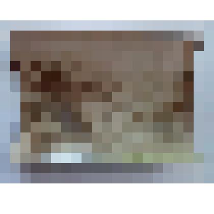 Фотография Барков В.С