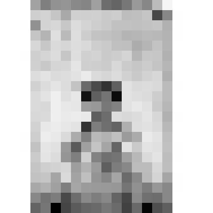 Негатив на стекле:  Улус Сартыков по реке Абакану. Сартыков Василий; качинец,  29 лет an face