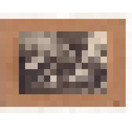 Фотопозитив. Сотрудники управления Архангельского морского торгового порта