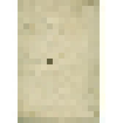 Книга межевая "Соли Вычегодского уезду Пачеозерской волости отхожего Лалицкого лугу"