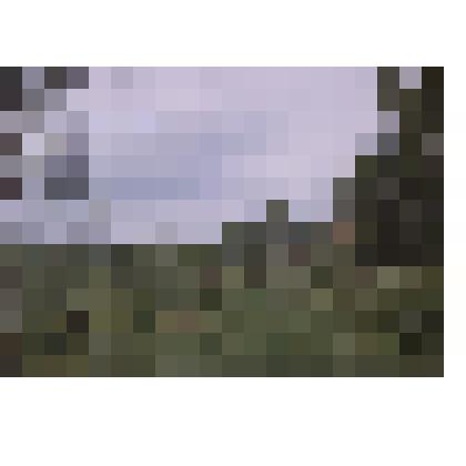 Фотография. Вид на деревню Богданово