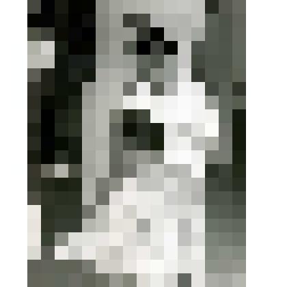 Фотография. Лучшие парикмахеры города за работой - Асанова Р.Ф. (мужской)