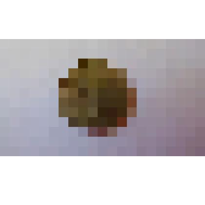 Монета банка России достоинством 20 рублей, 1993 года выпуска