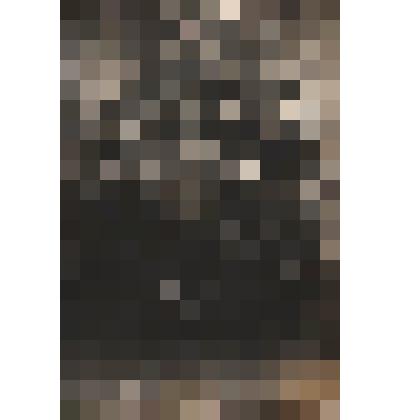 Фото телеграфистов 