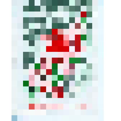 Карточка почтовая. Ветка цветущей яблони на фоне большого города в день 1 мая