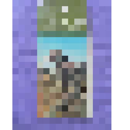 Комплект открыток  "Бадхызский заповедник"