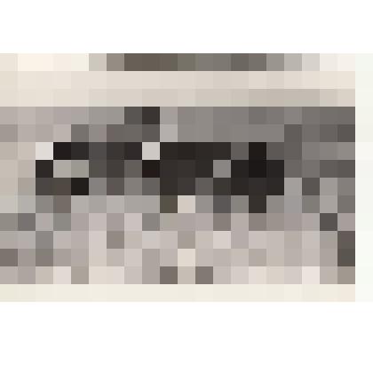 Фото/чб. Энгельсская опытно-мелиоративная станция (ВОЛЖНИИГИМ). Трактор с бороной на вспашке поля. 1960-1970