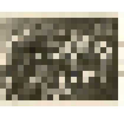 Фотография: стахановцы артели "Швейник" г.Камень-на-Оби Алтайского края