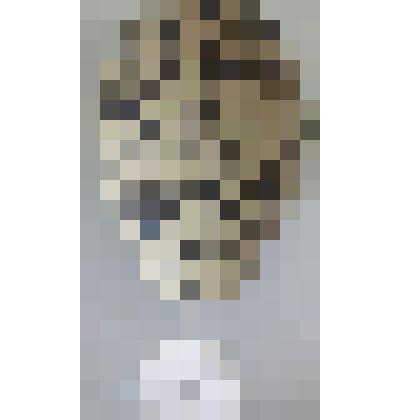 Поручейник. Ржанковые. Из коллекции птичьих яиц