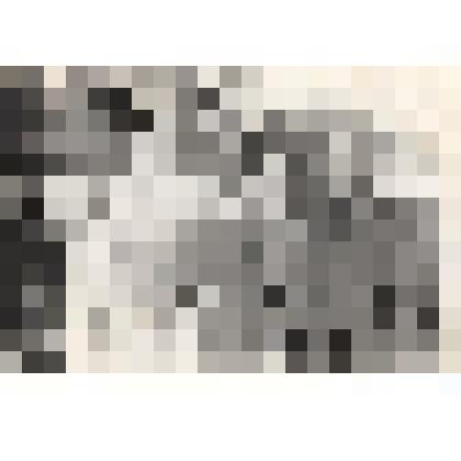 Групповая. Татьяна Маринеско, В.И. Прудников, Леонора Маринеско, П.Г. Масенков. Фотография