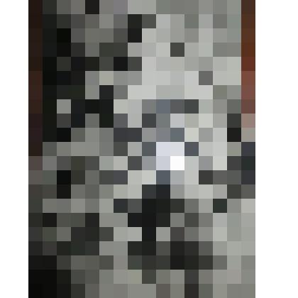 Фотография. Куприянов Евгений в военной форме