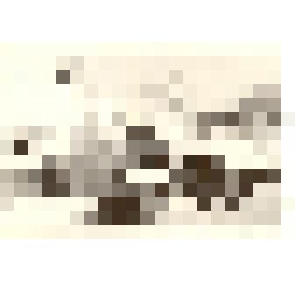 Фотография: демонстрация 1 мая 1961 года в г.Камне-на-Оби Алтайского края