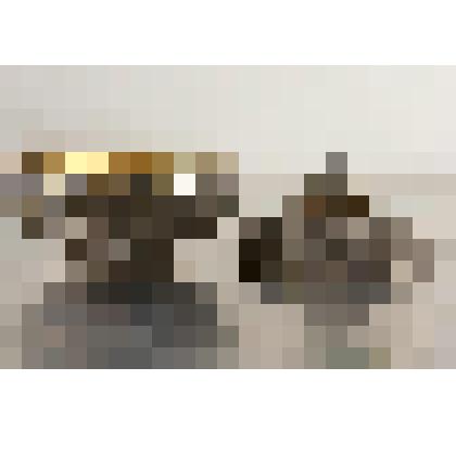 Крышка от миски в виде кочана капусты