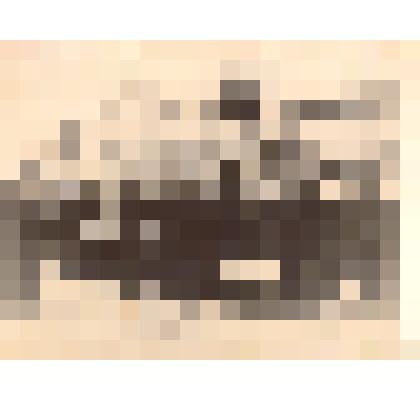 Фотография: колонна Каменской агрошколы на демонстрации 7 ноября 1952 г