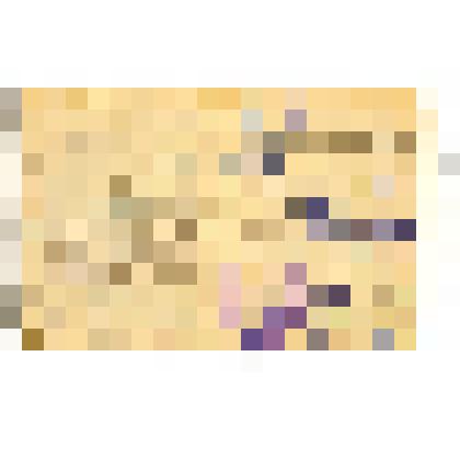 Книжка членская №12459 Певина Романа, члена Омского Общества Потребителей рабочих и служащих Омской ж. д