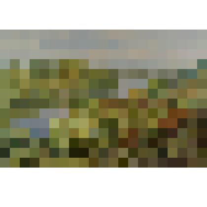 Кубань.Осеннее утро