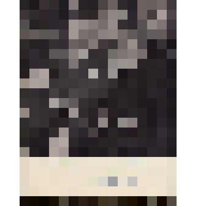 Фотография. Кассиль Л.А., Маршак С.Я