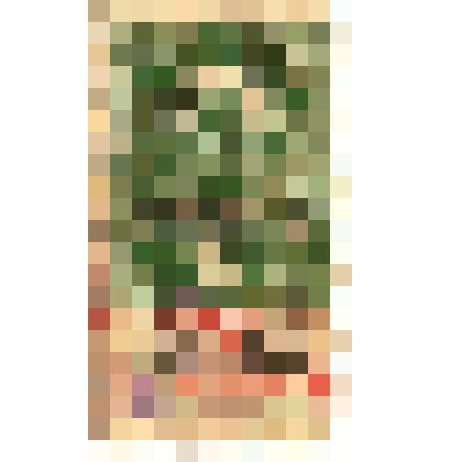 Марки почтовые. Марка почтовая. 75 коп (зеленый).Надпись "Гербовая марка"  по верхней части круга,с изображением царской короны в центре круга и царского герба внизу.На лицевой  стороне чернильный штамп красного цвета  "Вооруж.силы юга Россîи" и чернильны