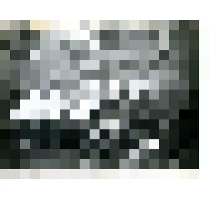 Фотография на паспарту