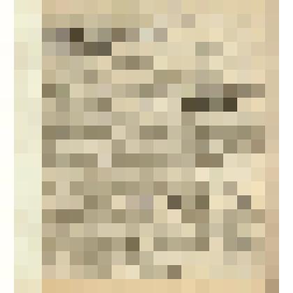 Газета. "Красный кавалерист" № 104