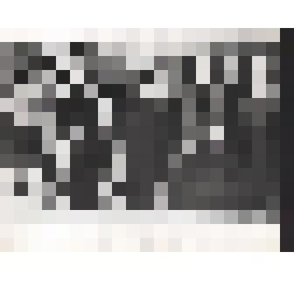 Фото: «Делегаты афро-азиатской конференции в г. Фрунзе»