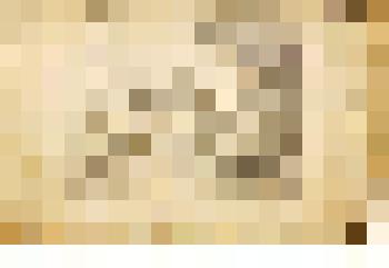 Наполеон под Шарлеруа. С оригинала О. Верне