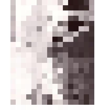 Фотография сюжетная. Поселок Эгвекинот после пурги в апреле 1950г