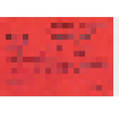 Мандат. Мандат № 613 Трошкина Алексея Федоровича, делегата ХХХ11 Абаканской  городской партийной конференции от первичной парторганизации  Хакасского обкома КПСС