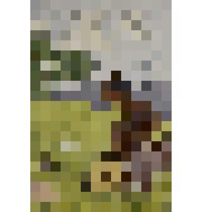 Почтовая карточка "Мартышка и очки" (К басне И.А. Крылова)