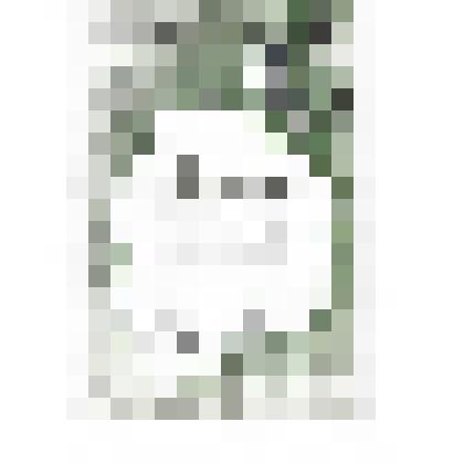 Документ. Грамота Кинешемского отделения Всероссийского Общества содействия охране природы и щзеленению населенных пунктов Фарфаровской Т. М., за организацию работы зеленых патрулей в семилетней школе № 1 г. Кинешма Ивановской области