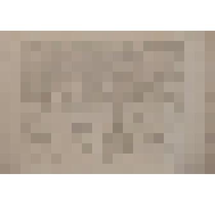 Литография. Иосифо-Волоколамский монастырь