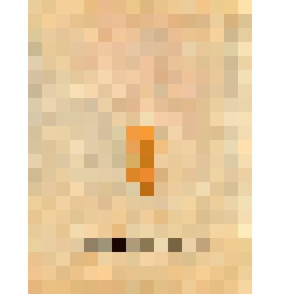 Проспект-панорама Всесоюзной Сельскохозяйственной выставки