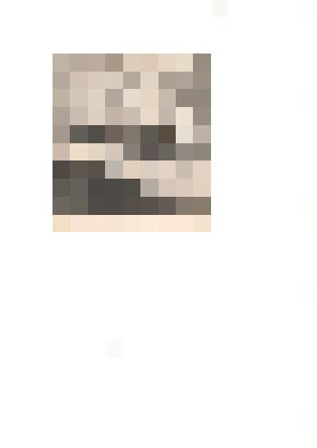 Фотография ч/б. Приём в октябрята  в музее им. В. И. Ленина Тюменцевской средней школы