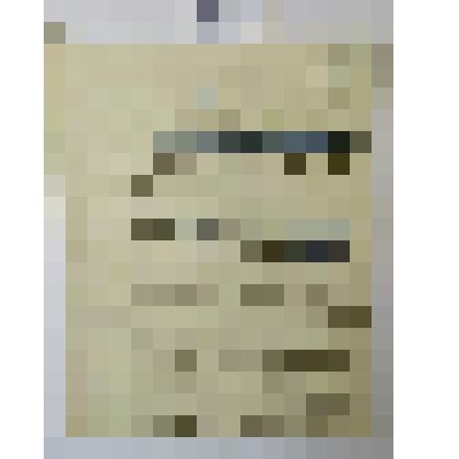 «Идеальный Толстой»