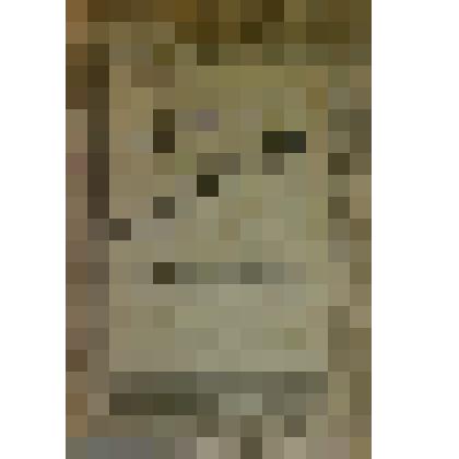 Книга "Сорные травы и борьба с ними в социалистическом сельском хозяйстве"